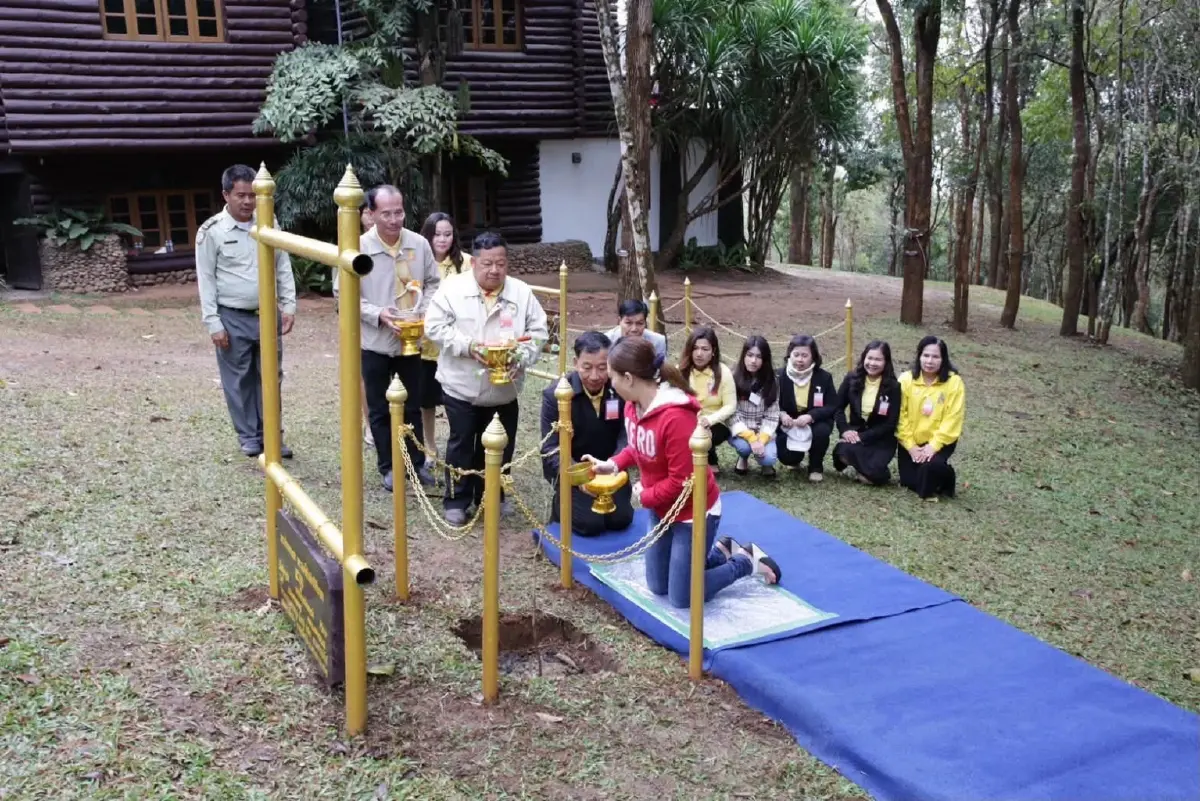 ย้อนรอยพระจริยวัตร เจ้าฟ้าพัชรกิติยาภาฯ ณ ภูเรือ ต้นไม้ทรงปลูกยังเติบโตงดงาม