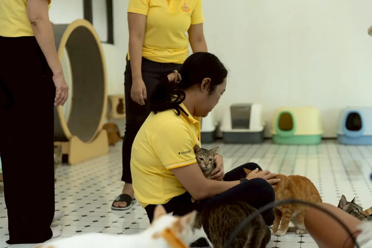 ‘แสนสิริ’ สืบสานพระราชปณิธานสู่การลงมือ‘ทำความดีด้วยหัวใจ’รวมพลัง‘พนักงานจิตอาสา’สาน 4ภารกิจเกื้อกูลสังคม
