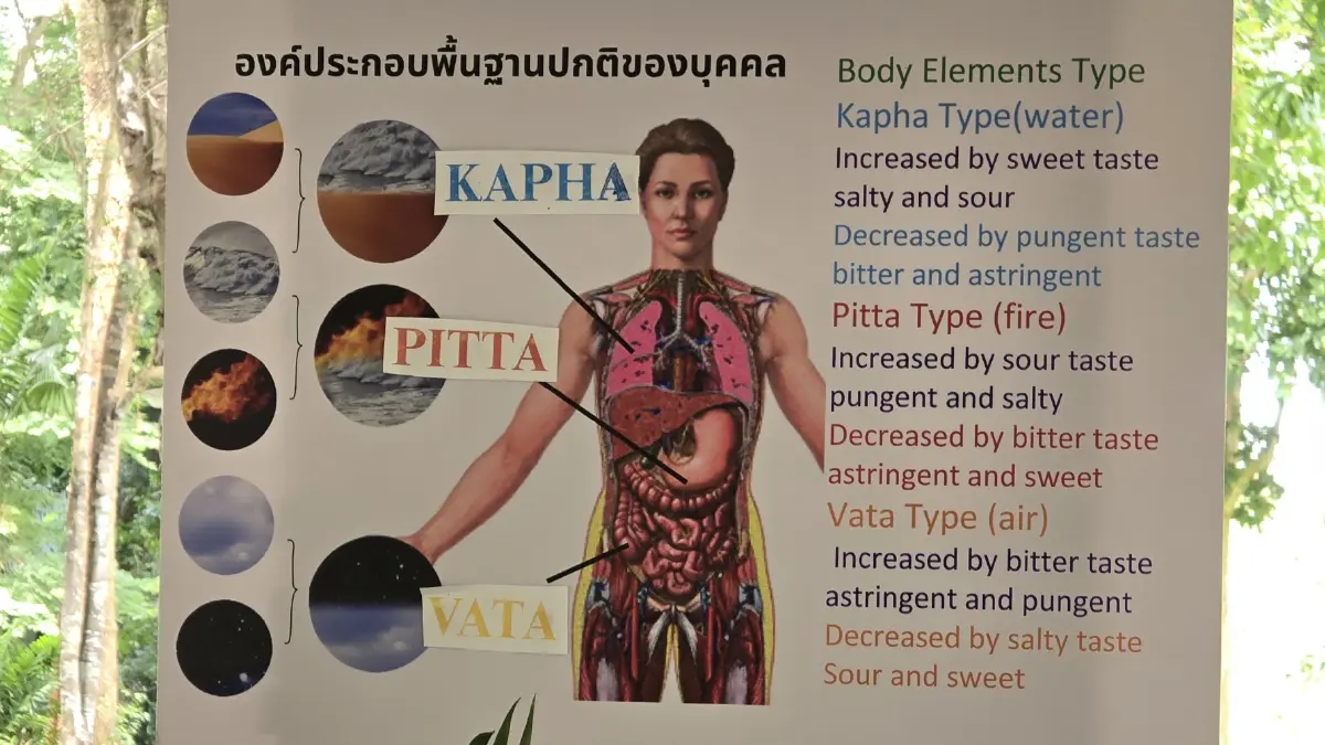 ชวนเที่ยว ‘กาญจนบุรี’ ไปกับ ‘หินร้อนบำบัดจักระ-การอาบป่า-สปาอัญมณีนิลดำ’