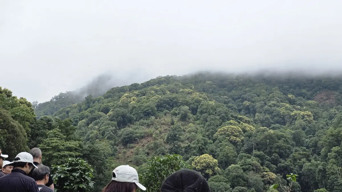 เที่ยวไร่ ‘กาแฟ’ บนดอยสูง ชมนวัตกรรม การจัดการสวนยุคใหม่