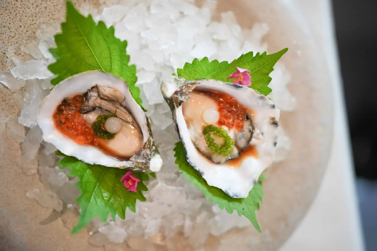 Écailler Oyster Competition 2026  ค้นหาแชมป์แกะหอยนางรมสู่ฝรั่งเศส l World Pulse
