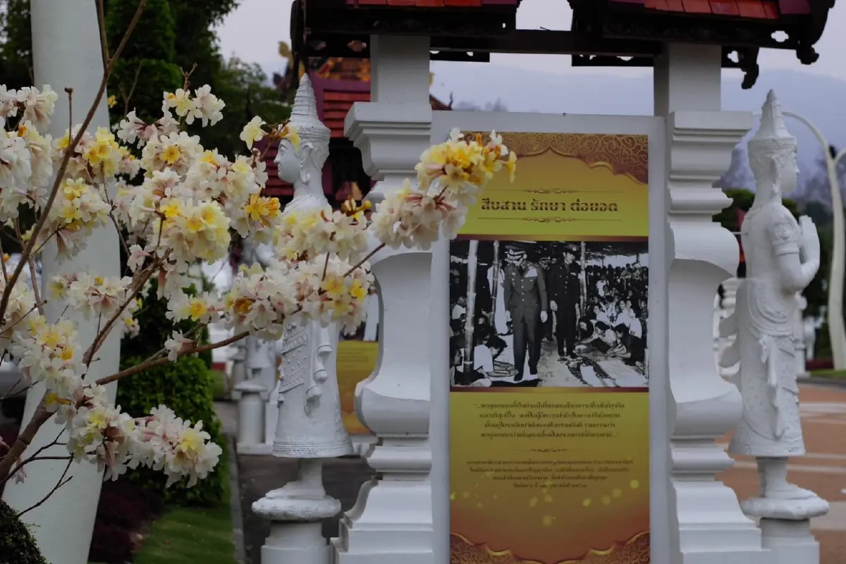‘ในหลวง’ พระราชทานนามพรรณไม้ใหม่ ‘พิมลลักษณ์’ เฉลิมพระเกียรติ ‘พระบรมราชินี’