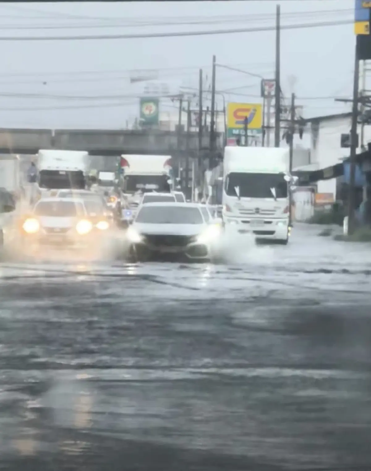 ชลบุรีอ่วม ฝนตกหนัก 'สุขุมวิท-บายพาสบึง' น้ำท่วมสูง เดินทางลำบาก