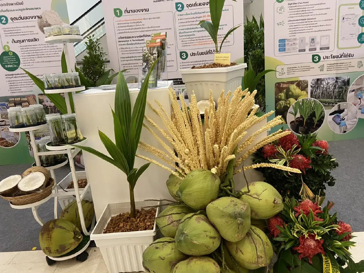 7สมาคมเขย่าทัพเกษตรไทย ดันนวัตกรรมสุดจี๊ด ลุยตลาดโลก
