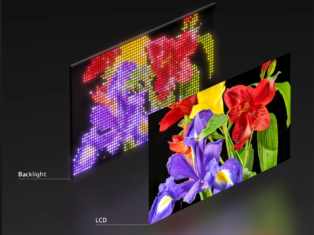 สวยตาแตก! ส่องไลน์อัปใหม่ SONY 'True RGB' สีสันที่บางคนไม่เคยเห็น