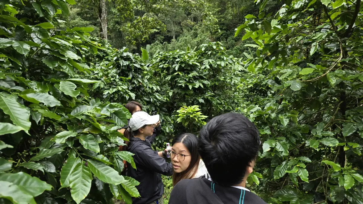 เที่ยวไร่ ‘กาแฟ’ บนดอยสูง ชมนวัตกรรม การจัดการสวนยุคใหม่