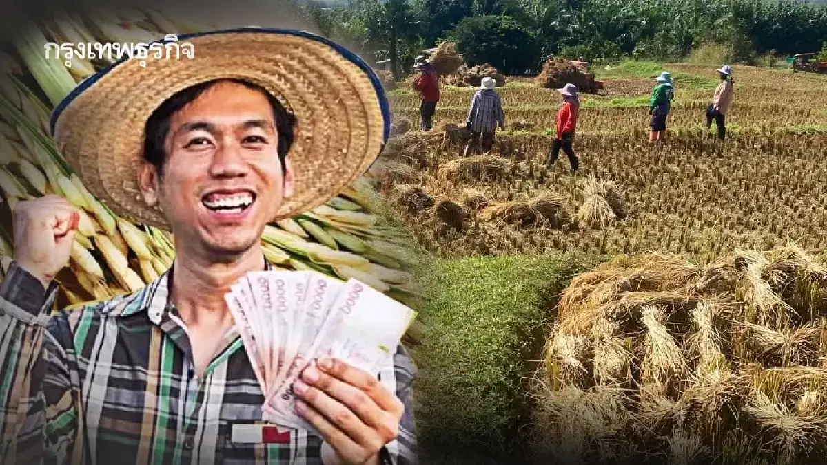 ผลลัพธ์ เงินช่วยเหลือชาวนา ไร่ละ 1000 ยอดโอน ธ.ก.ส. ครบคนลงทะเบียน