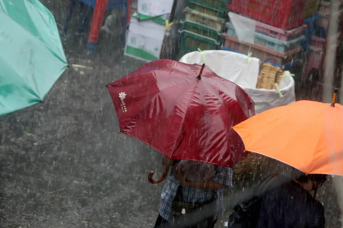 36 จังหวัดระวังน้ำท่วม พิษพายุไมสัก ทำฝนตกหนักมาก กทม. โดนด้วย 70%