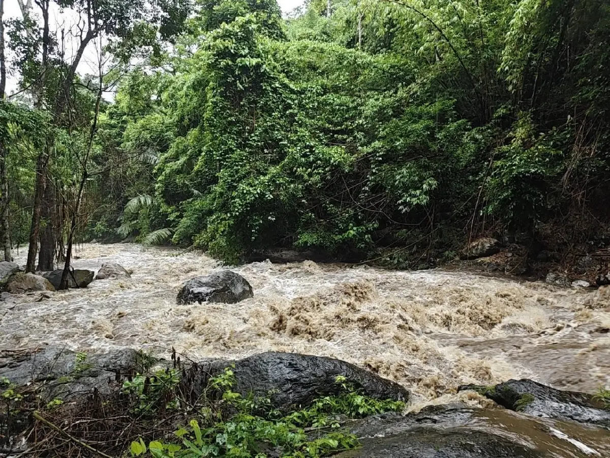 สั่งปิด 'น้ำตกป่าละอู' แก่งกระจาน เซ่นพิษฝนตกหนัก-น้ำป่าไหลหลาก