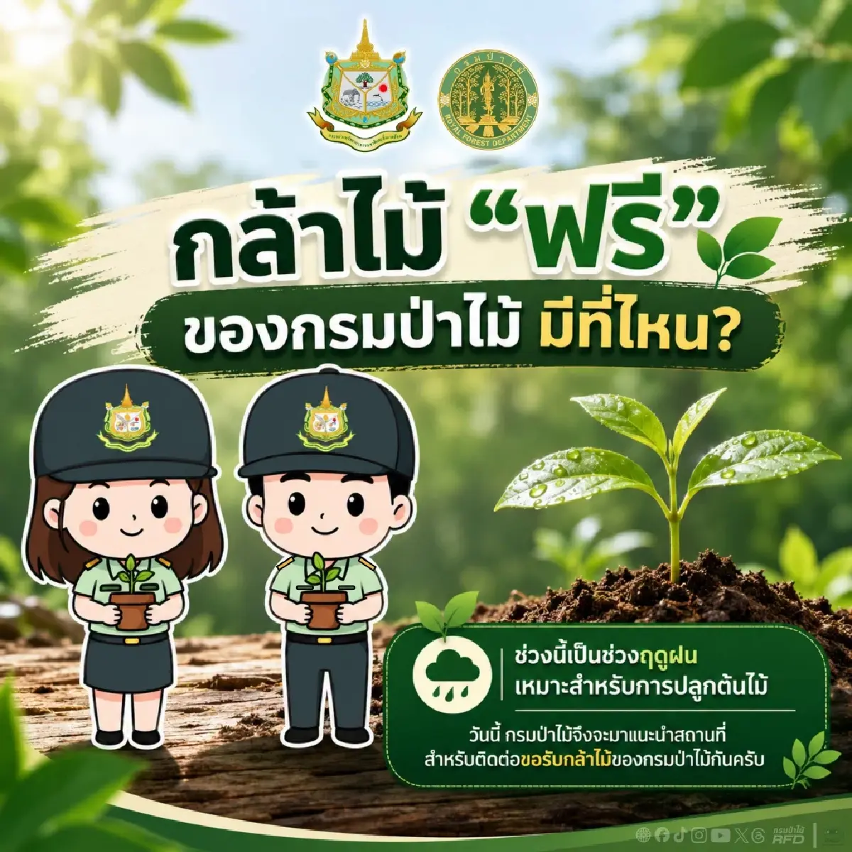 ชี้เป้าลงทะเบียนรับ กล้าไม้ฟรี ทั่วประเทศ ใช้บัตรประชาชนใบเดียว