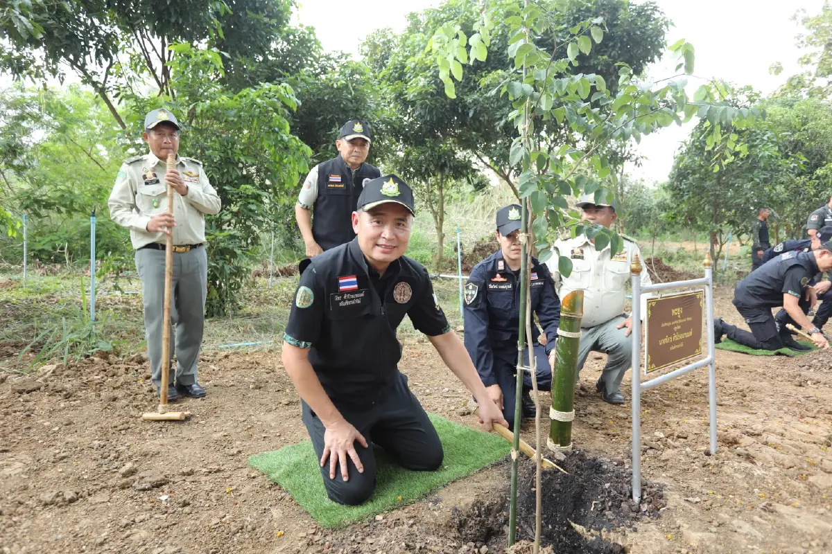 กรมป่าไม้ ปลูกป่าโครงการหลวงเลอตอ จ.ตาก เฉลิมพระเกียรติในหลวง 74 พรรษา