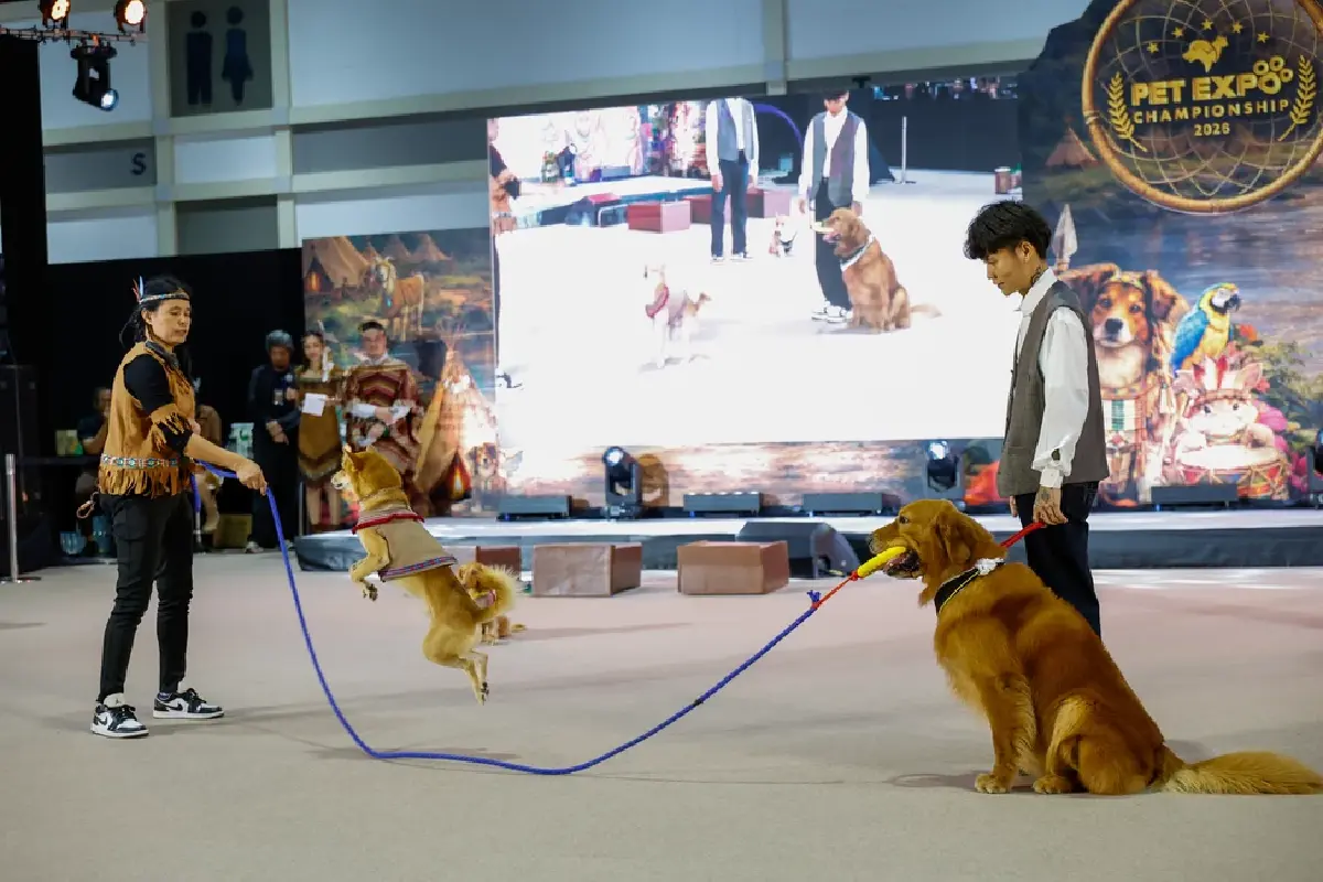 เริ่มแล้ว 'PET EXPO CHAMPIONSHIP 2026'เอาใจคนรักสัตว์เลี้ยง 30 ก.ค.-2 ส.ค.นี้