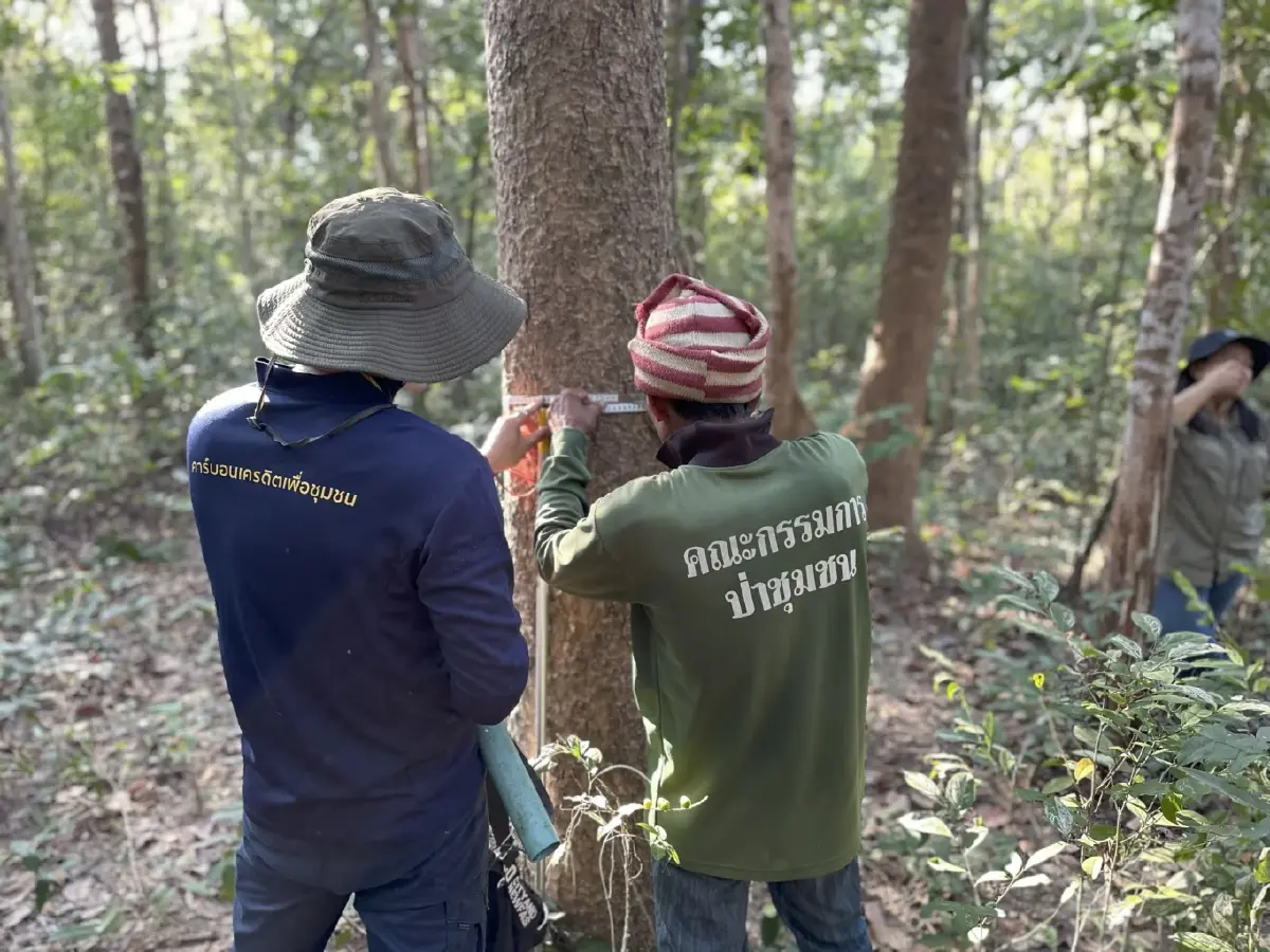 เปลี่ยน 'ที่ดินรกร้าง' เป็น 'สินทรัพย์สีเขียว' ปั้นโมเดลป่าชุมชน 33 ไร่