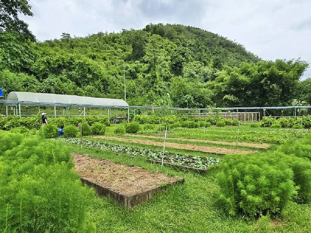 ถอดรหัส รร.ตชด.บ้านถ้ำหิน ชูกองทุนแกร่ง สร้างอาหารยั่งยืน