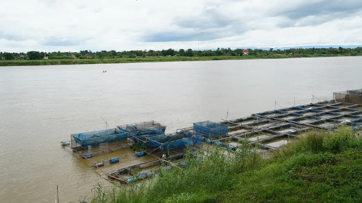 5 จังหวัดอีสาน รับมือ เขื่อนลาว ระบายน้ำ 12 เท่า ดันแม่น้ำโขงเพิ่ม 1.30 เมตร