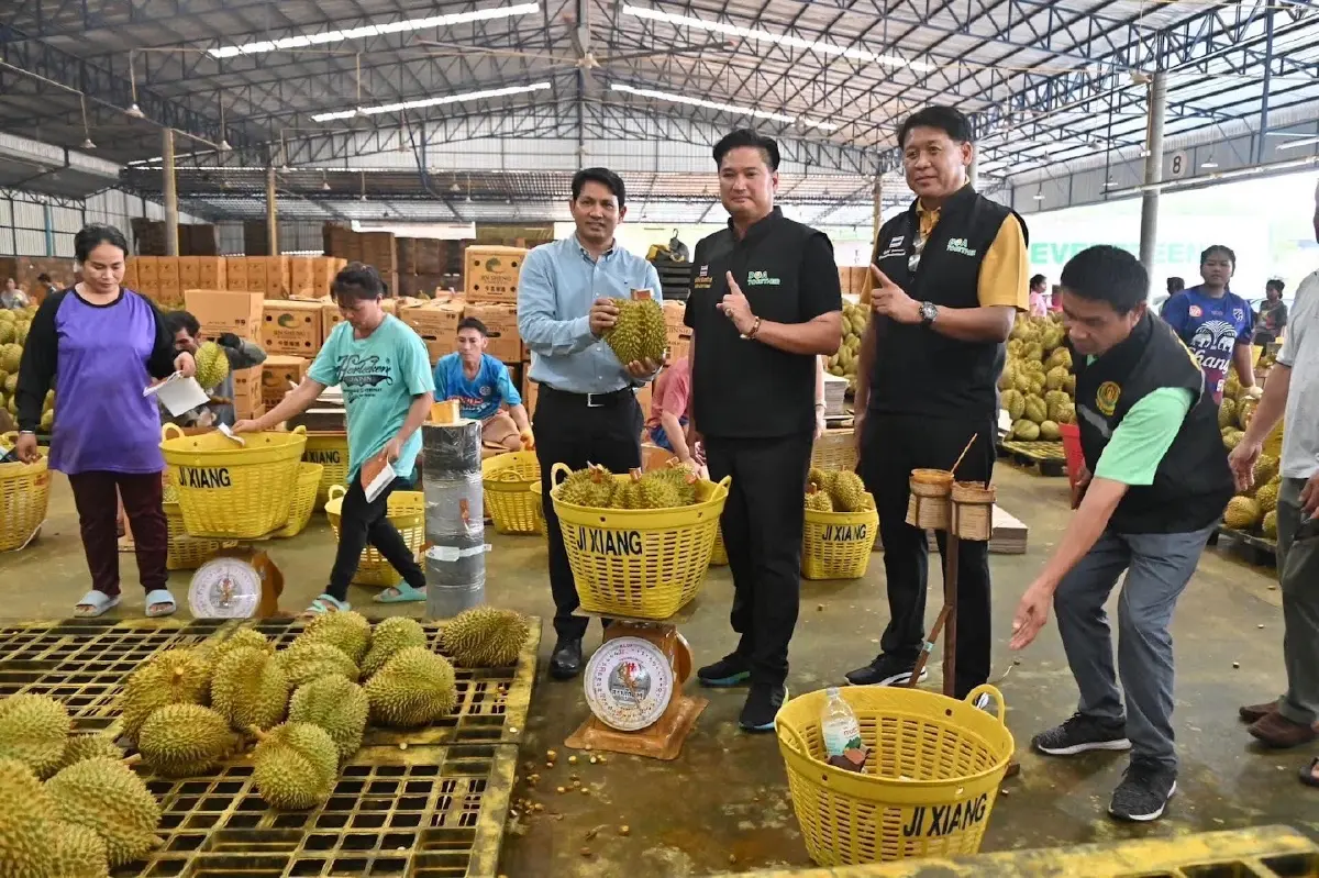 ทุเรียนไทยครึ่งปีแรกพุ่งแสนล้าน ทุบสถิติส่งออกจีนตั้งเป้า 1.5 แสนล้าน