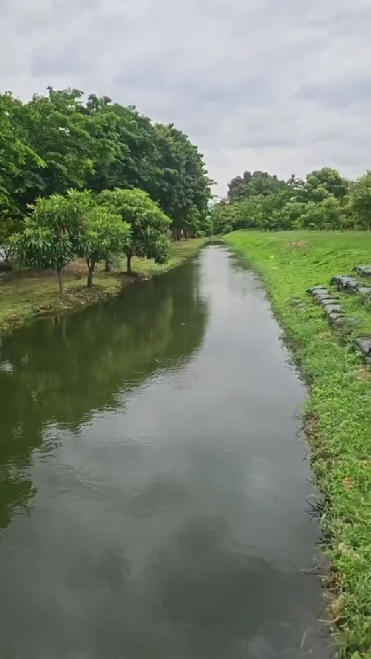 สั่งลา โรงขยะอ่อนนุช พลิกกองขยะ 580 ไร่ เป็นป่ากลางกรุง ดันระบบตามกลิ่น