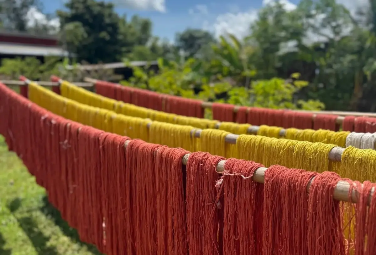 'บ้านกุดจิก' พลิกผ้าทออีสาน สู่ดีไซน์ทันสมัย ใช้สีจากป่า เชื่อมภูมิปัญญา สร้างงานชุมชน