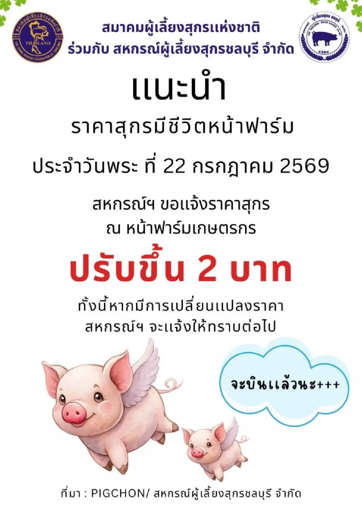ปรับขึ้นแล้ว! ราคาหมูหน้าฟาร์ม ขยับอีก 2 บาท เช็กราคาล่าสุดที่นี่