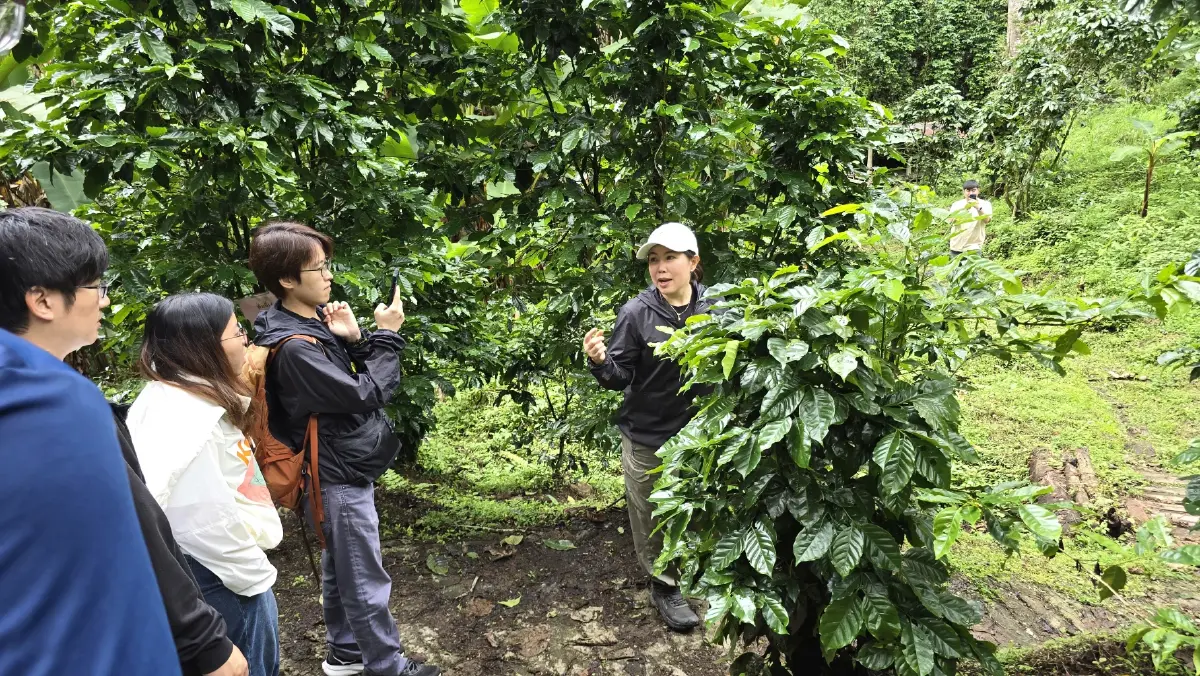 เที่ยวไร่ ‘กาแฟ’ บนดอยสูง ชมนวัตกรรม การจัดการสวนยุคใหม่