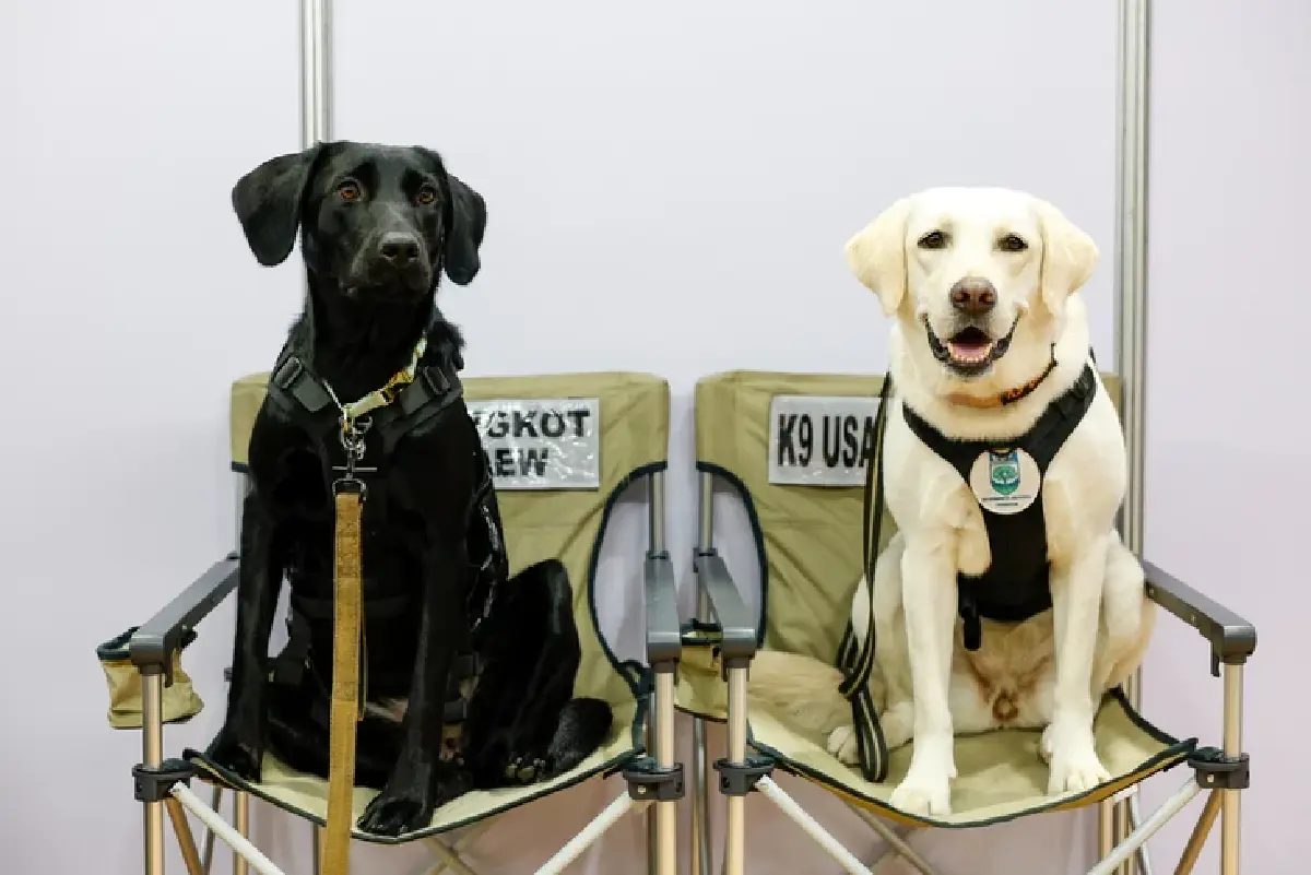 เริ่มแล้ว 'PET EXPO CHAMPIONSHIP 2026'เอาใจคนรักสัตว์เลี้ยง 30 ก.ค.-2 ส.ค.นี้