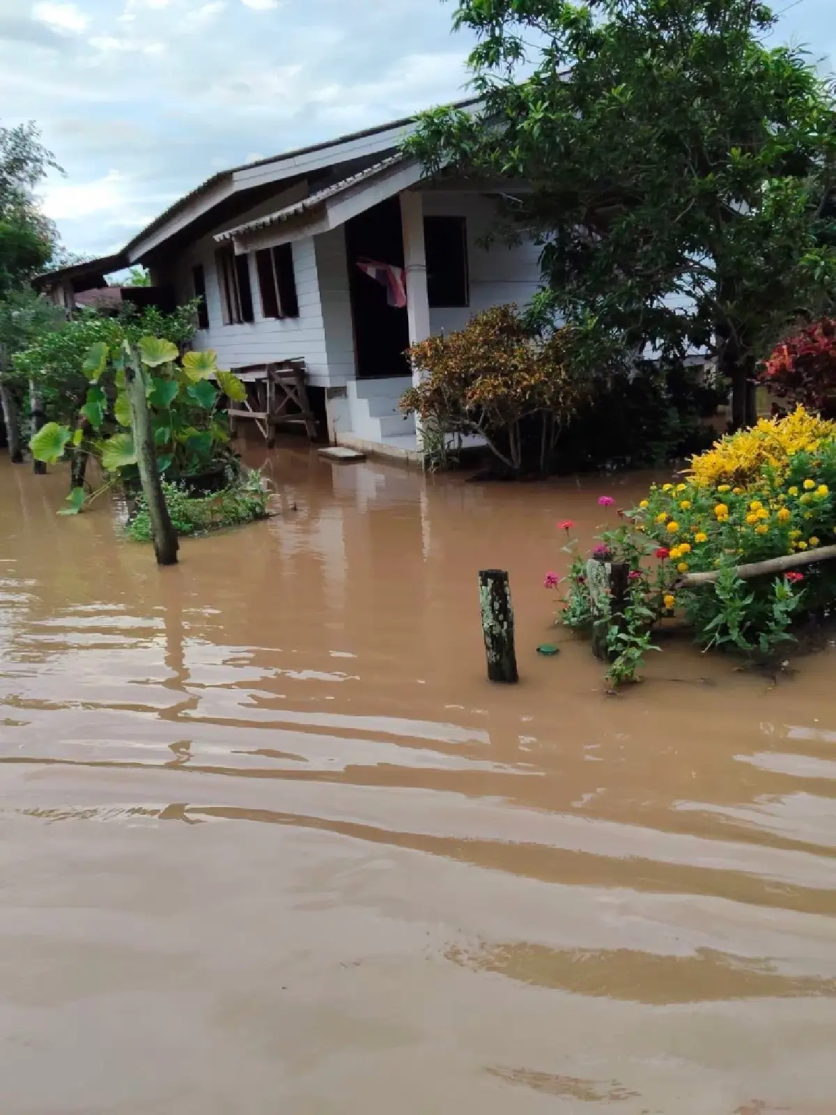 อัปเดตเชียงใหม่ ฝนตกหนัก 60% ติดตามสถานการณ์น้ำท่วม อ.ฝาง ล่าสุด