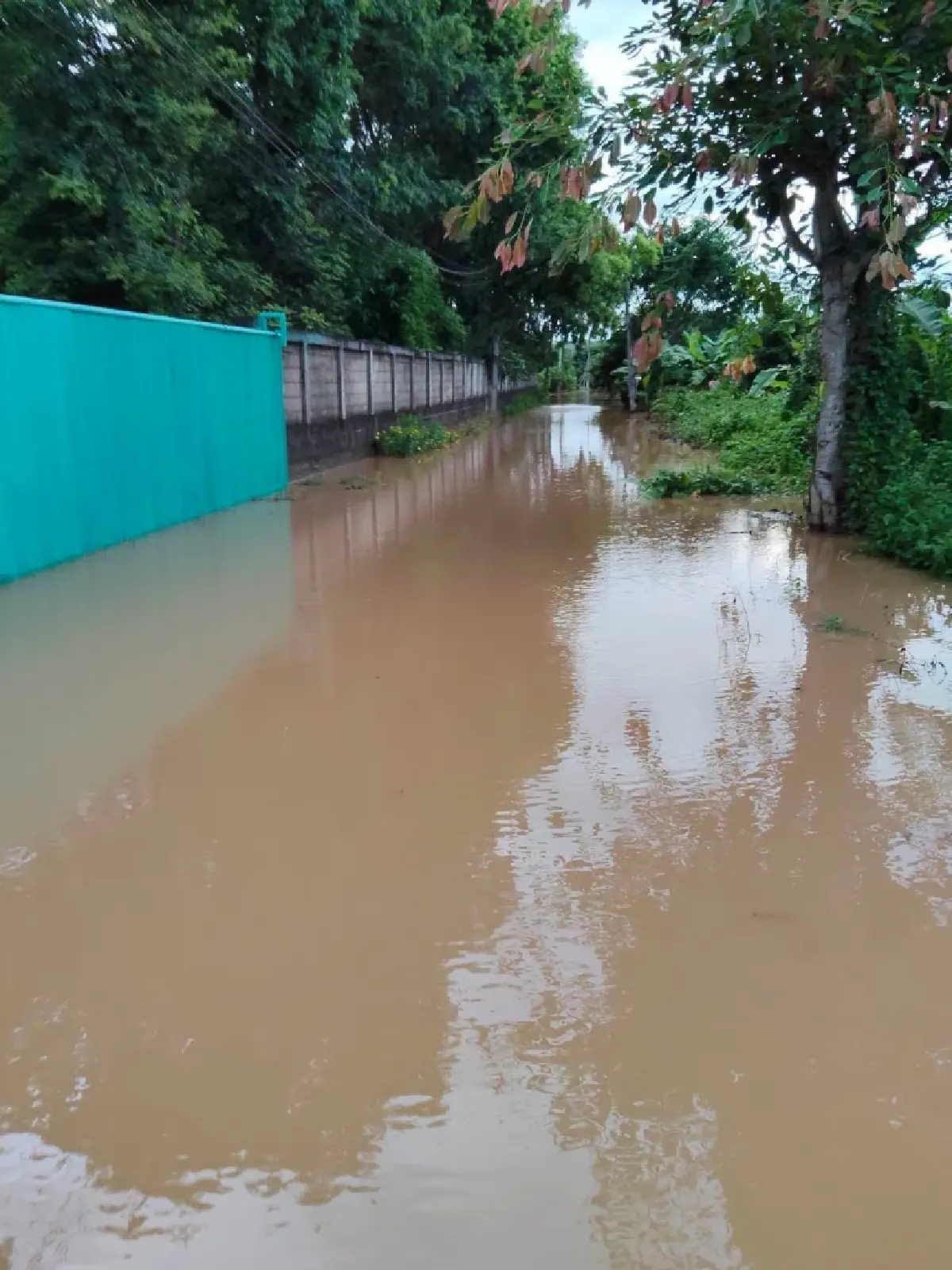 อัปเดตเชียงใหม่ ฝนตกหนัก 60% ติดตามสถานการณ์น้ำท่วม อ.ฝาง ล่าสุด
