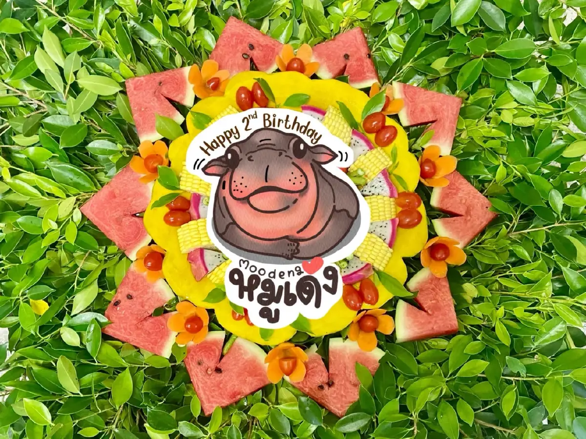 ฉลองวันเกิด 2 ปี ‘หมูเด้ง’ สวนสัตว์เปิดเขาเขียว จัดงานใหญ่ 10-12 ก.ค. เข้าฟรี
