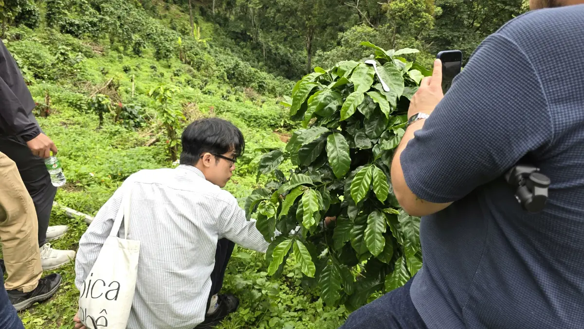 เที่ยวไร่ ‘กาแฟ’ บนดอยสูง ชมนวัตกรรม การจัดการสวนยุคใหม่