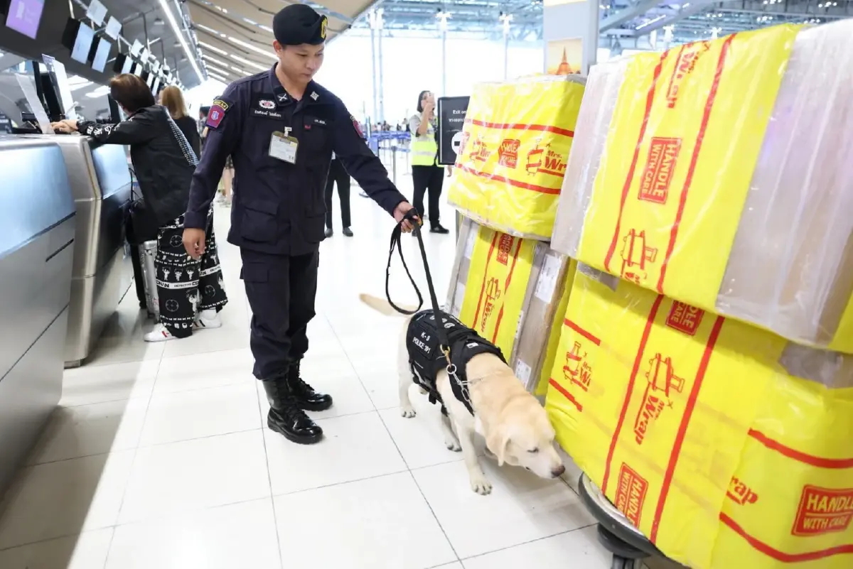 ทอท. เอาจริง ส่ง ตำรวจ K-9 คุมสุวรรณภูมิ สุ่มตรวจสัมภาระ สกัดเสพติด