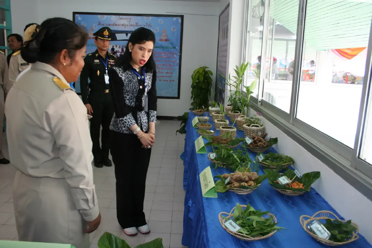 กรมพระศรีสวางควัฒนฯ ผู้ทรงทุ่มเทพัฒนางานวิจัยการแพทย์ สู่รากฐานความมั่นคงของแผ่นดิน