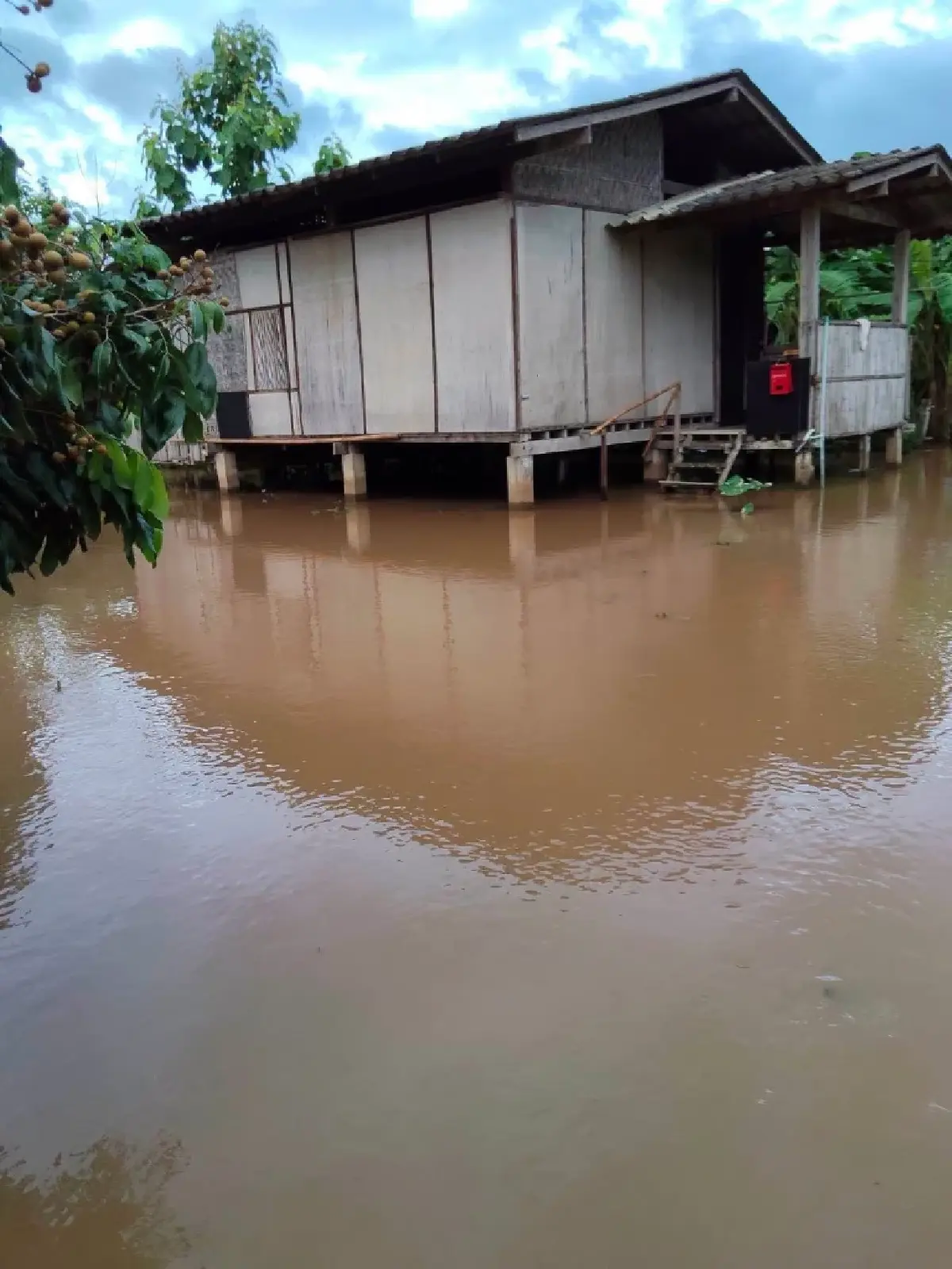 อัปเดตเชียงใหม่ ฝนตกหนัก 60% ติดตามสถานการณ์น้ำท่วม อ.ฝาง ล่าสุด