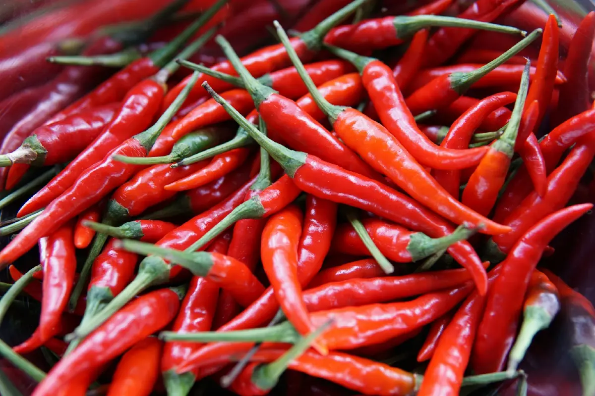 สายแซ่บมีเฮ! วิจัยชี้ "กินเผ็ด" เป็นประจำอาจช่วยให้อายุยืน
