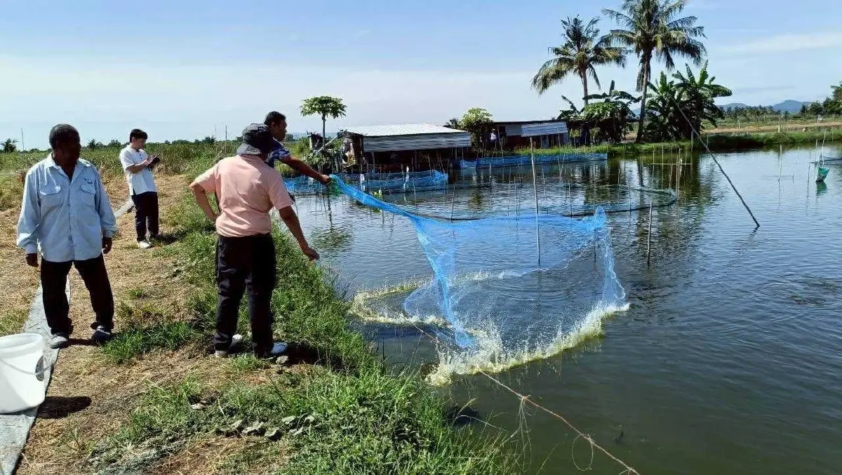 ช็อกวงการ 19 รหัสลับพันธุกรรม ปลดล็อกปมคางดำ ซับซ้อนกว่าที่คิด