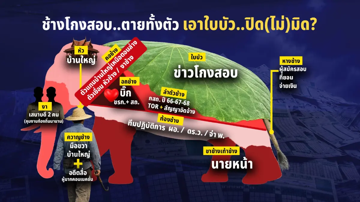 ช้างโกงสอบ..ตายทั้งตัว  เอาใบบัว..ปิด(ไม่)มิด?