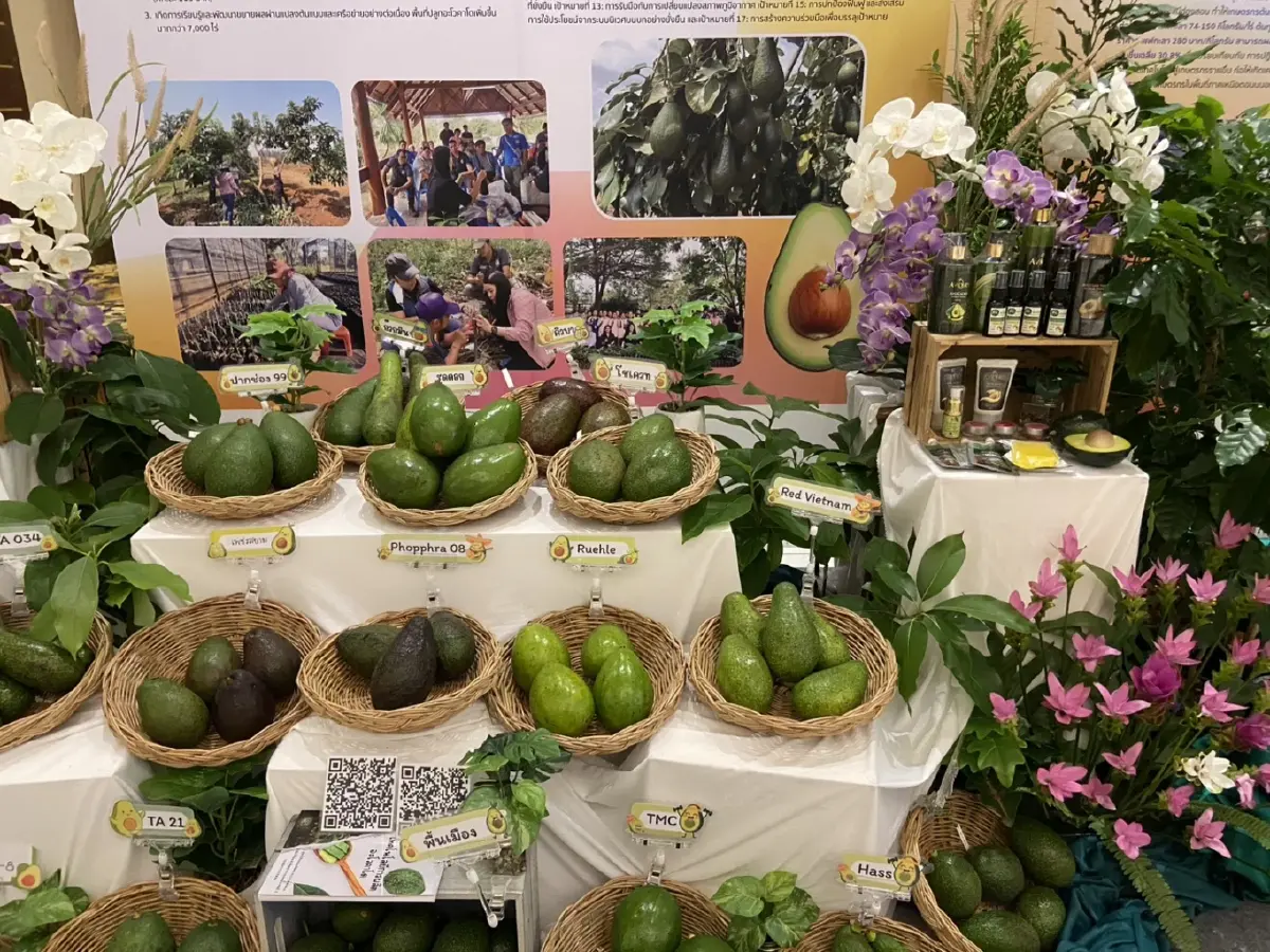 7สมาคมเขย่าทัพเกษตรไทย ดันนวัตกรรมสุดจี๊ด ลุยตลาดโลก