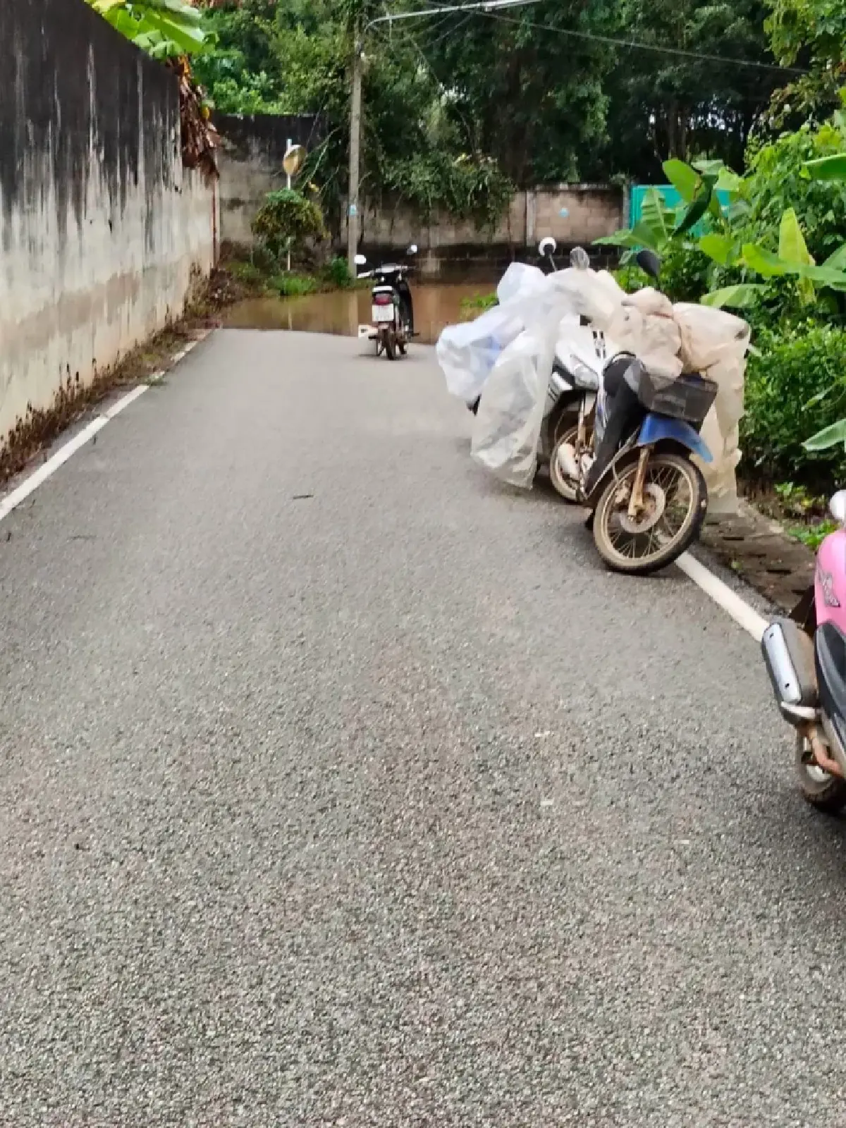 อัปเดตเชียงใหม่ ฝนตกหนัก 60% ติดตามสถานการณ์น้ำท่วม อ.ฝาง ล่าสุด
