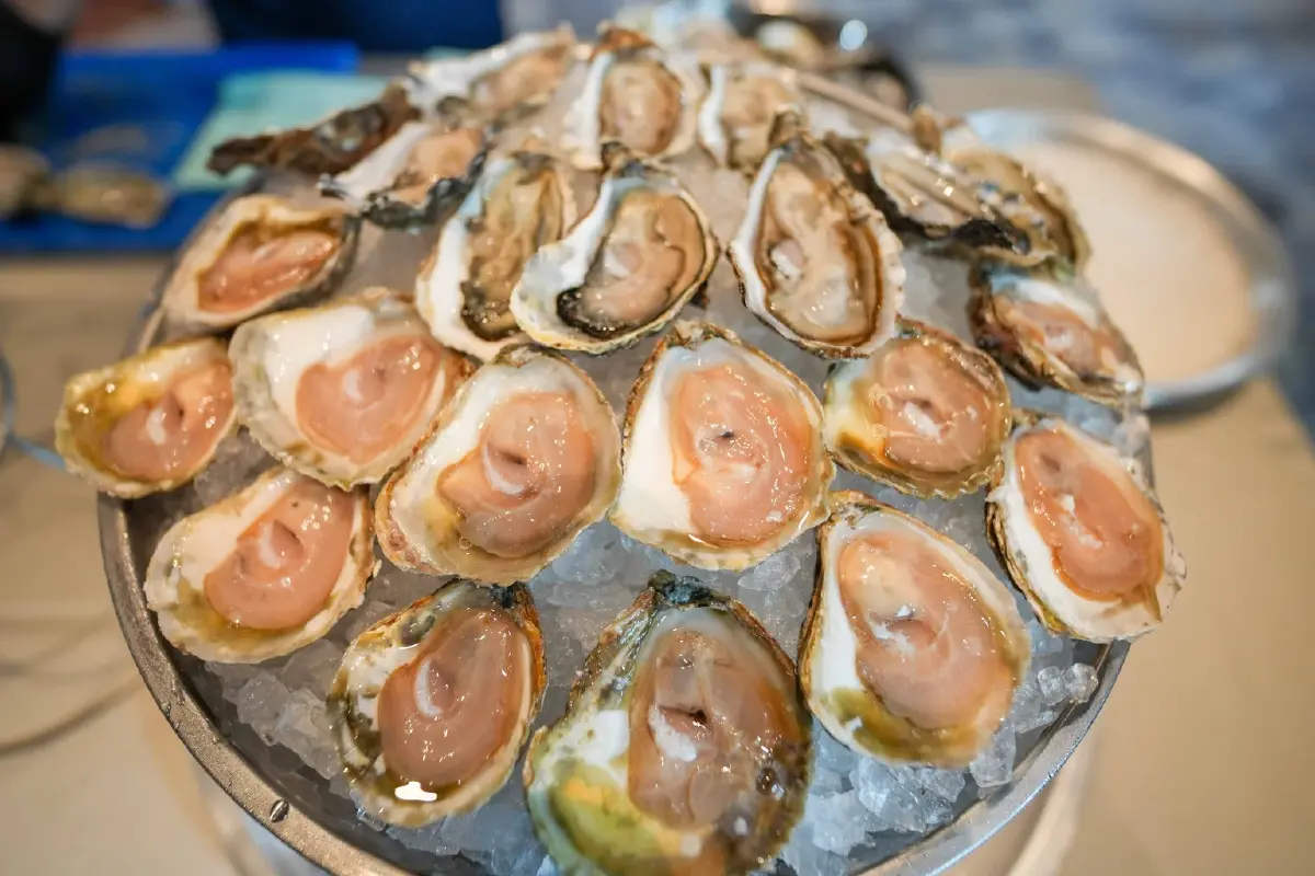 Écailler Oyster Competition 2026  ค้นหาแชมป์แกะหอยนางรมสู่ฝรั่งเศส l World Pulse