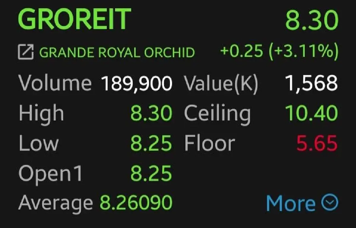 GROREIT บวก 3% หลัง ROH หมดสิทธิซื้อคืน โบรกเกอร์ชี้เปิดทางกองทรัสต์เดินหน้าบริหารโรงแรม แนะเก็งกำไรระยะสั้น