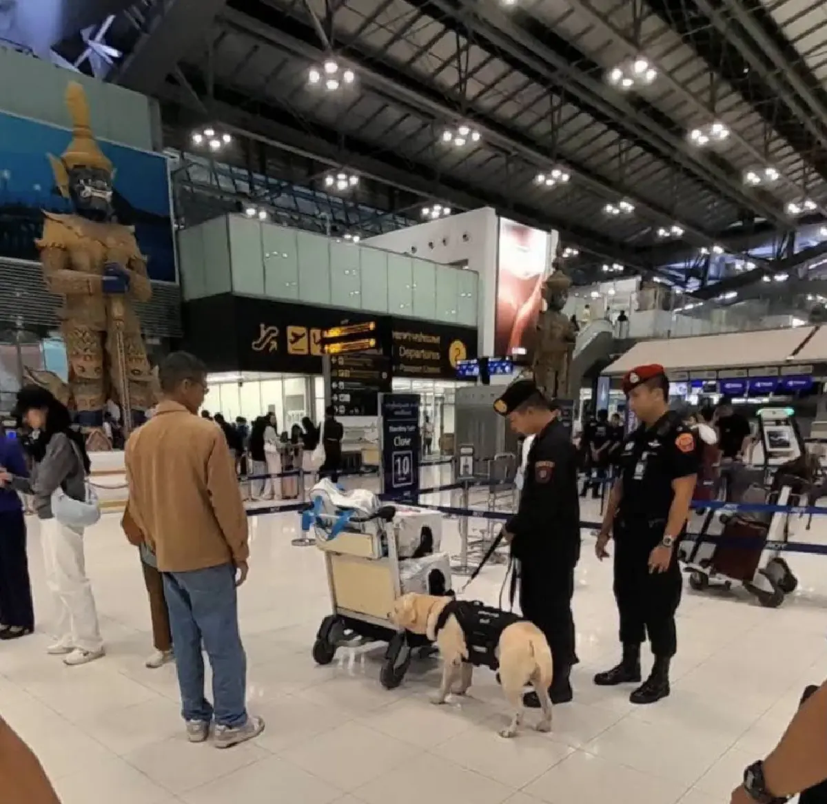 ตรวจเข้มสุวรรณภูมิ! ส่งสุนัขตำรวจ K9 ลุยตรวจค้นสัมภาระ ตัดวงจรยาข้ามชาติ