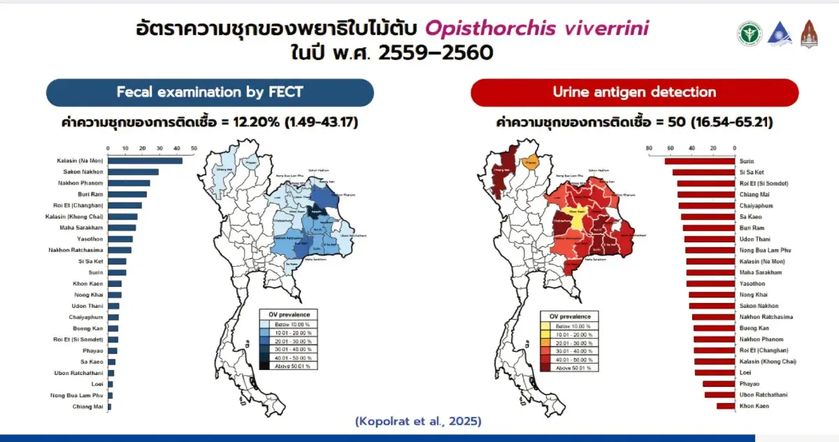 ปักจุดอีสานแดงเถือก 'พยาธิใบไม้ตับ' กินยาถ่ายทุกปีไม่ช่วยรอด ‘มะเร็งท่อน้ำดี’