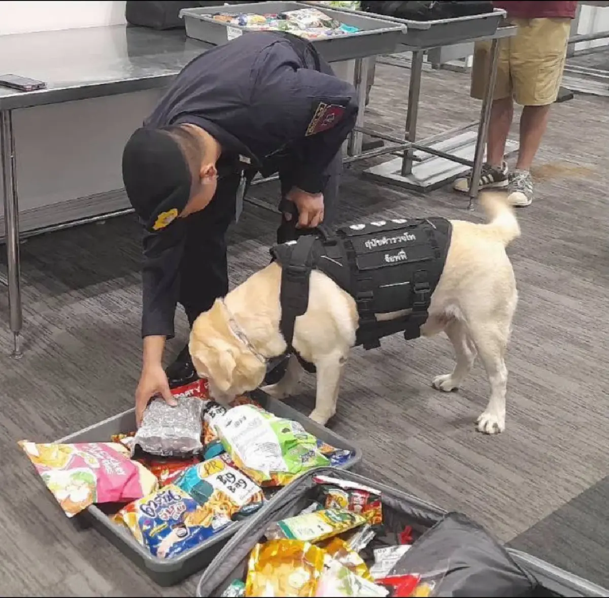 ตรวจเข้มสุวรรณภูมิ! ส่งสุนัขตำรวจ K9 ลุยตรวจค้นสัมภาระ ตัดวงจรยาข้ามชาติ
