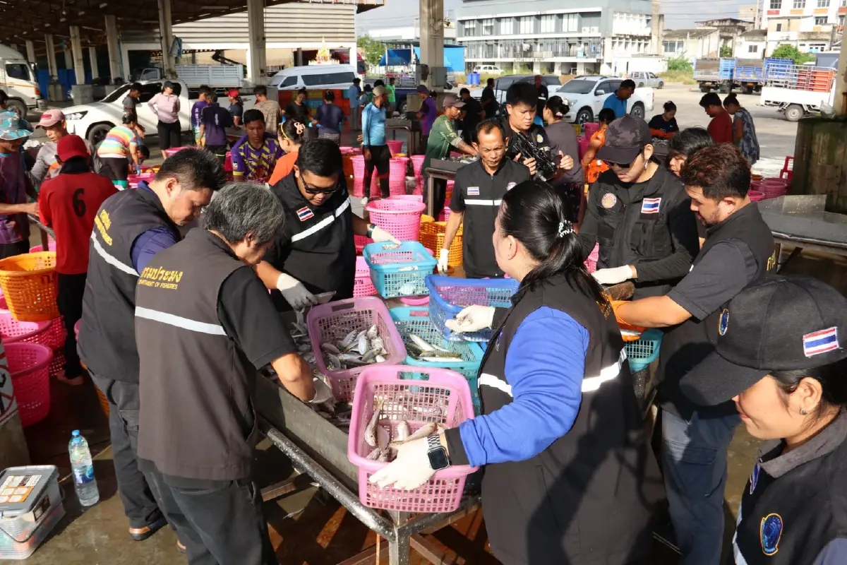 กรมประมงยกระดับป้องกัน IUU ชูนวัตกรรมยั่งยืนดันส่งออก