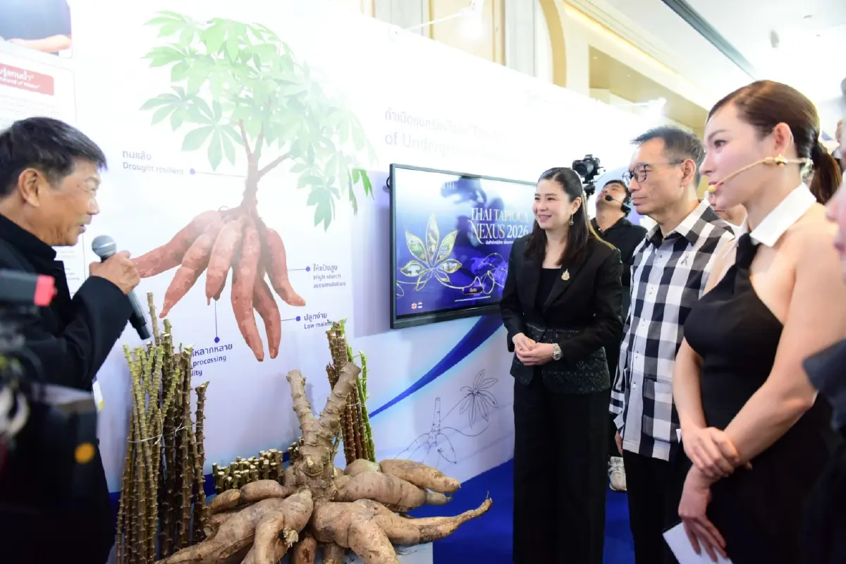กรมการค้าต่างประเทศ - สสว. จัด “Thai Tapioca Nexus 2026” ดันมูลค่าการค้ากว่า 2,600 ล้านบาท