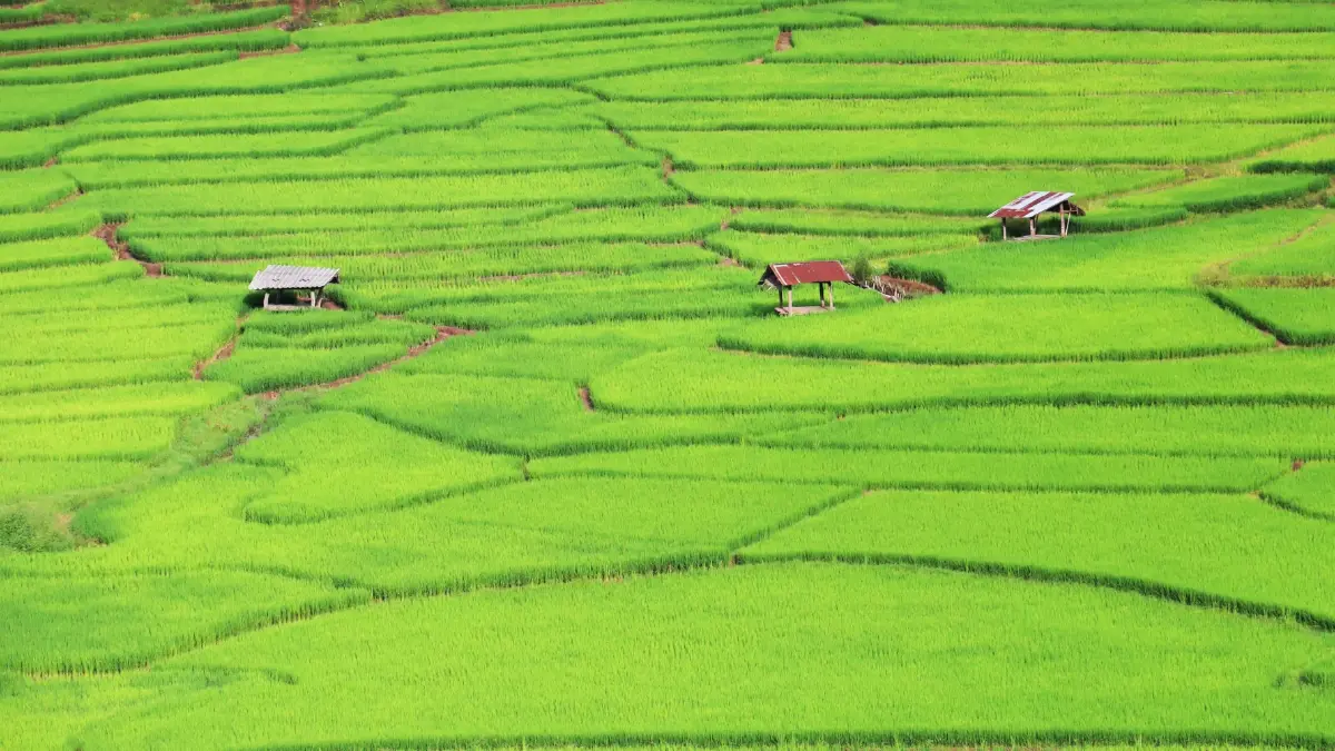 หยุดเวลาอยู่กับธรรมชาติ ที่ ลักชัวรี ซาฟารี แกลมปิ้ง 'Visama Explorer Nan'
