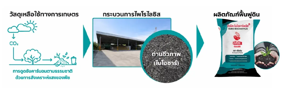 เสือดิน จับมือ ซันสวีท พิสูจน์ไบโอชาร์ในแปลงข้าวโพดหวานผลผลิตเพิ่มขึ้นหนุนเกษตรคาร์บอนต่ำ