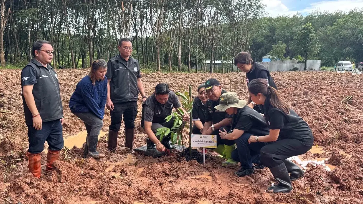 ปลูกทุเรียนในสวนยางก็ทำได้  กยท. เปิดต้นแบบดันรายได้พุ่ง