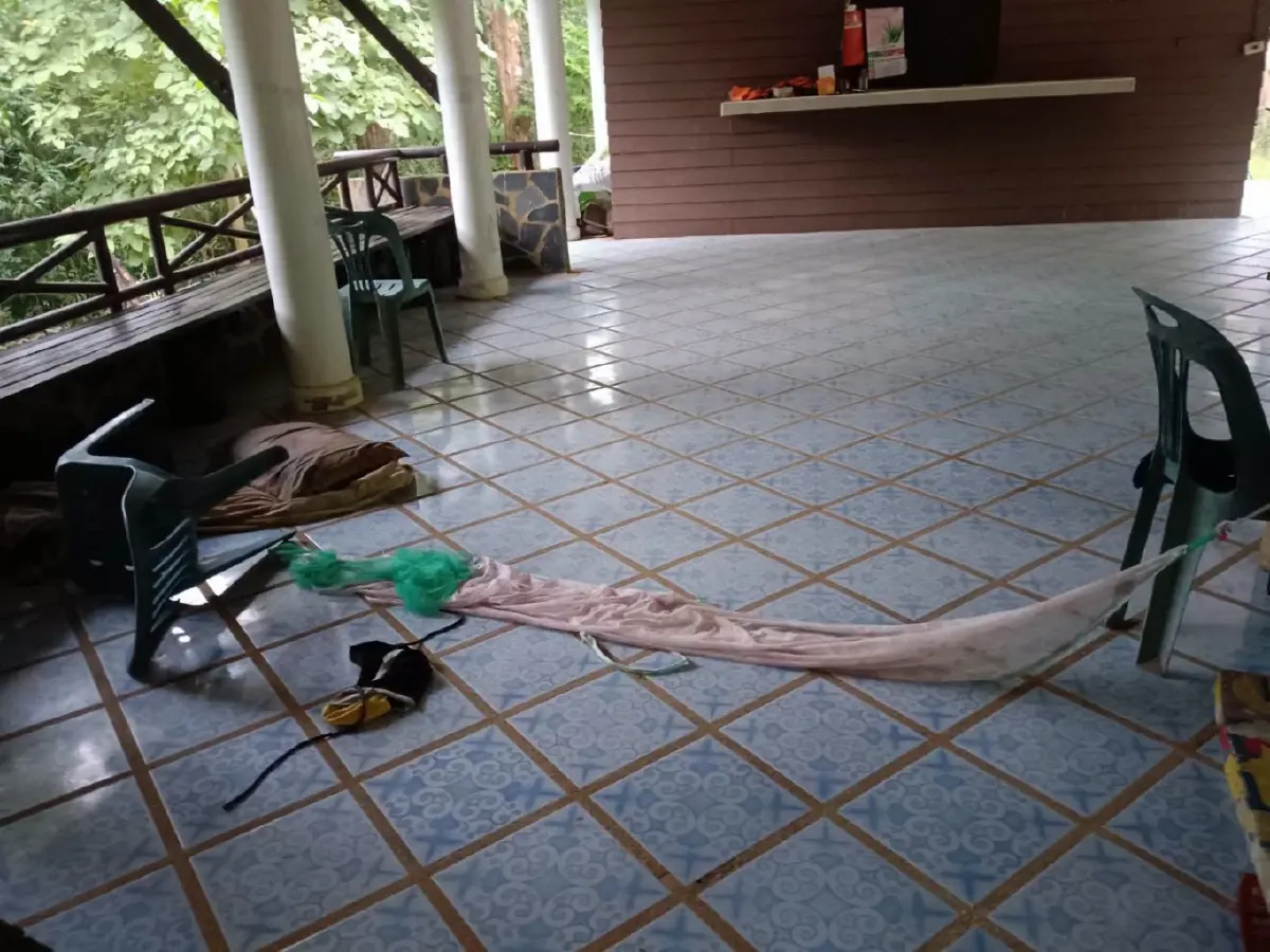 สุดเศร้า! เสือโคร่งห้วยขาแข้ง ขย้ำเจ้าหน้าที่พิทักษ์ป่า เสียชีวิต
