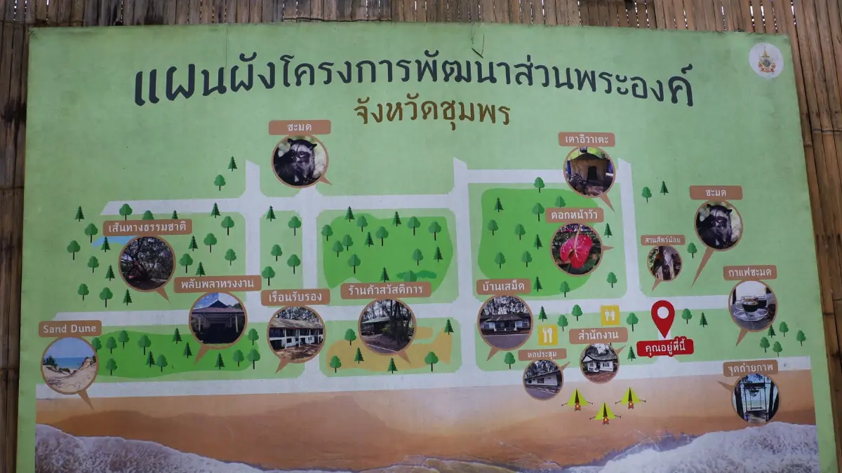 ‘กาแฟขี้ชะมด’ เข้มข้น นุ่มนวล ที่โครงการพัฒนาส่วนพระองค์ จ.ชุมพร