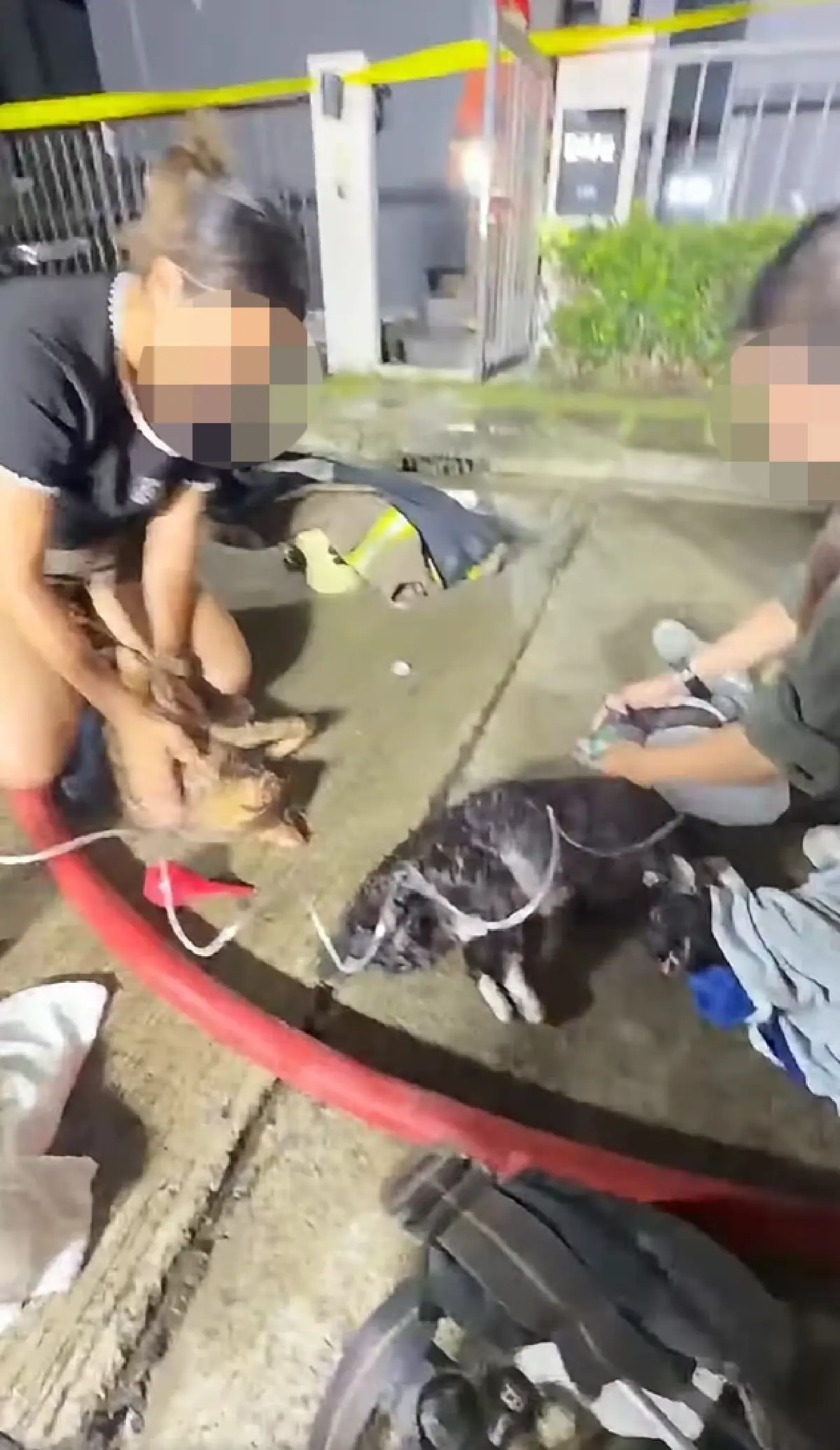 ไฟไหม้บ้าน นนทบุรี เสียชีวิต 2 คน เร่งช่วยชีวิตแมวนับสิบถูกรมควัน